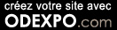 Artistes, galeries d'art, cr&eacute;ez votre site avec Odexpo.com