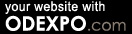 Artists, art galleries,  your website with Odexpo.com