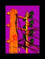 GALERIE D'ART C�F�