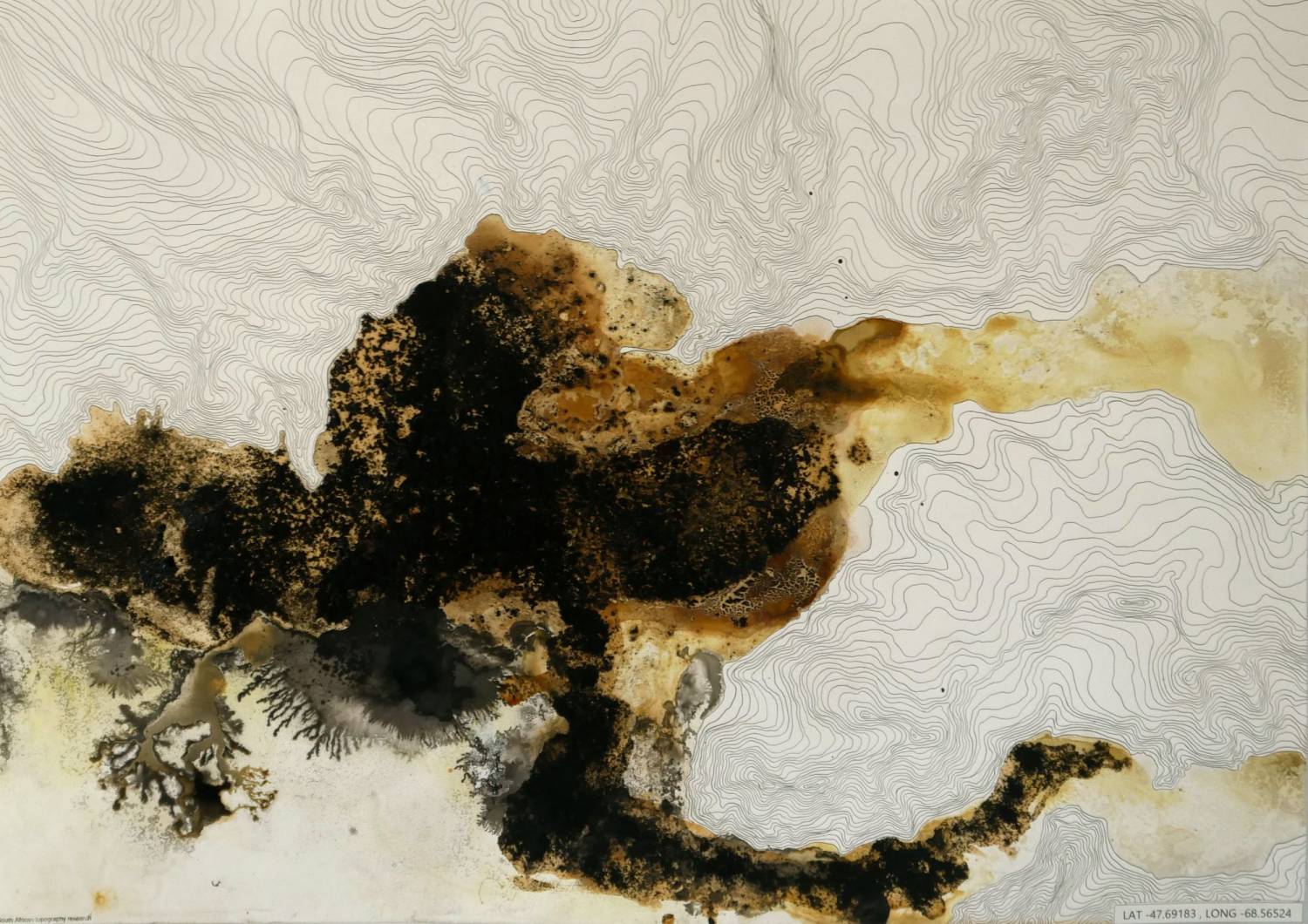 Artiste Odexpo 1